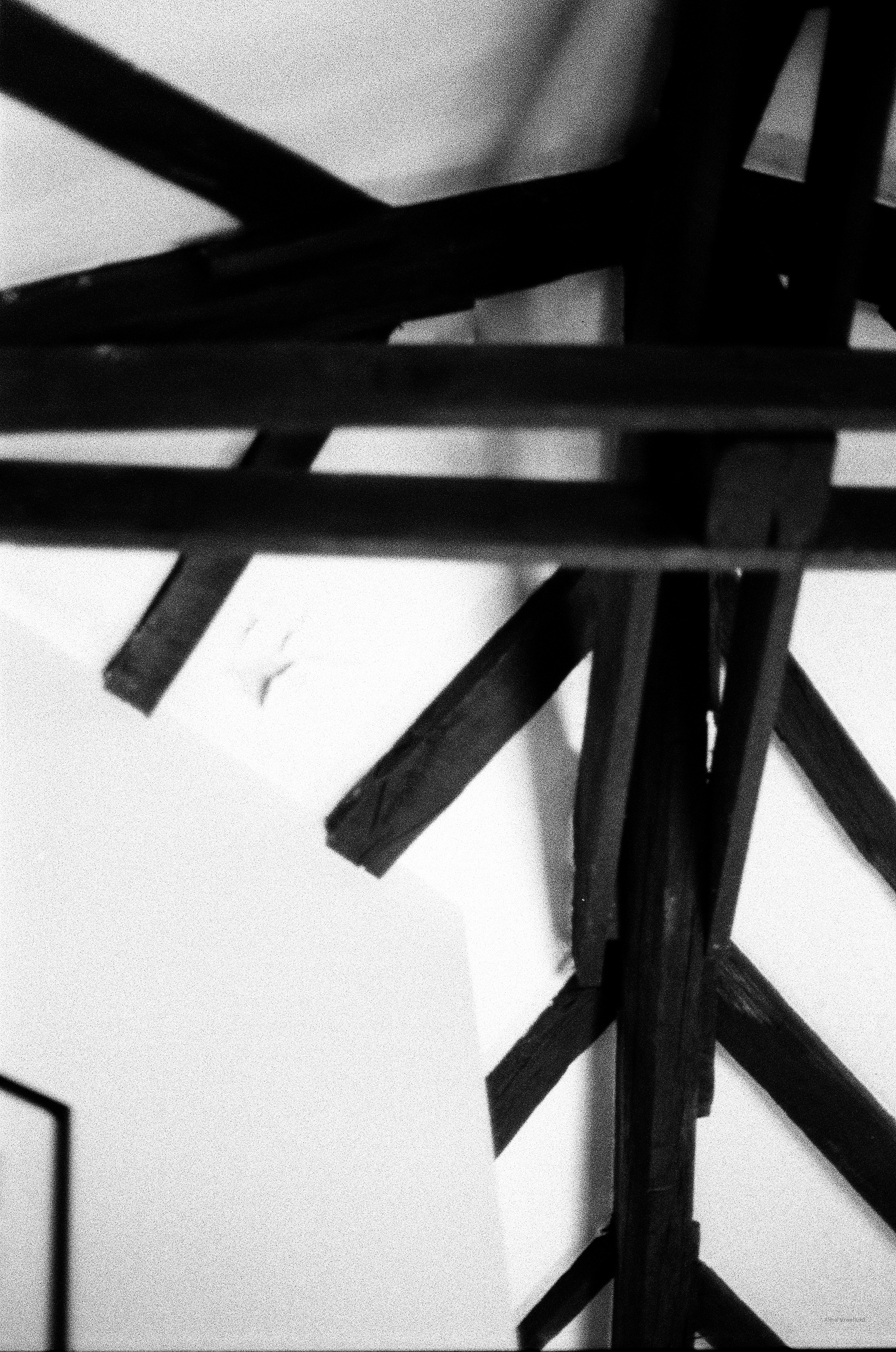 Photography series opening image