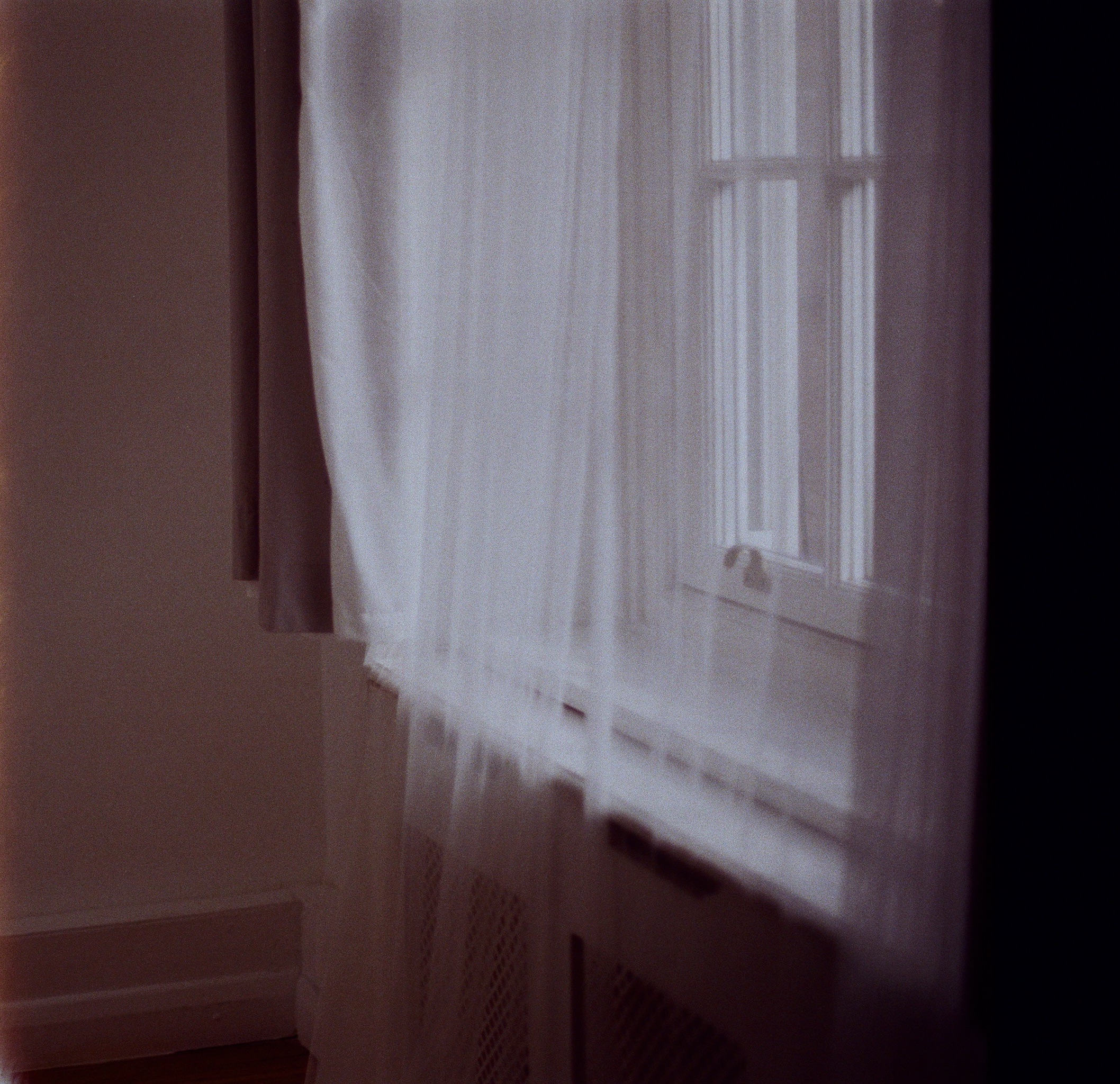 Photography series opening image